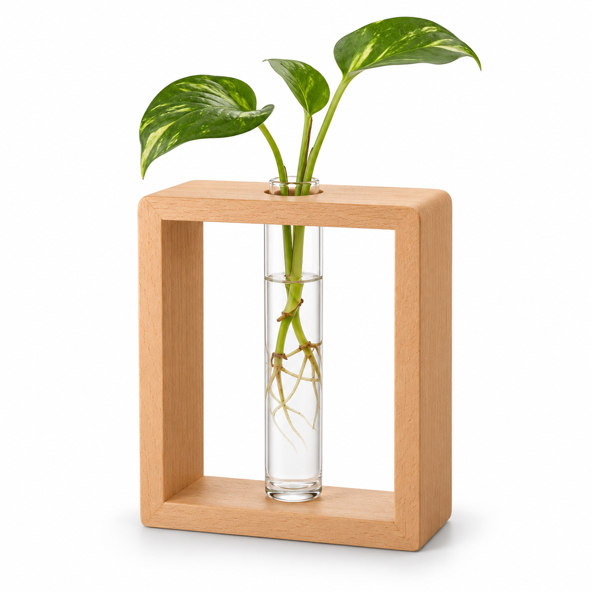 Pflanzenstation aus Buchenholz mit Glasvase, 20 cm hoch